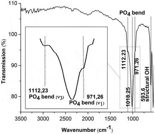 Figure 3. FTIR spectrum of synthesized HAp powder.