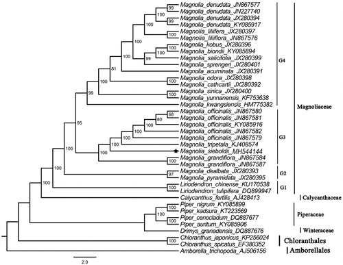 Figure 1. ML phylogenetic tree based on 38 complete chloroplast genome sequences from 30 species.