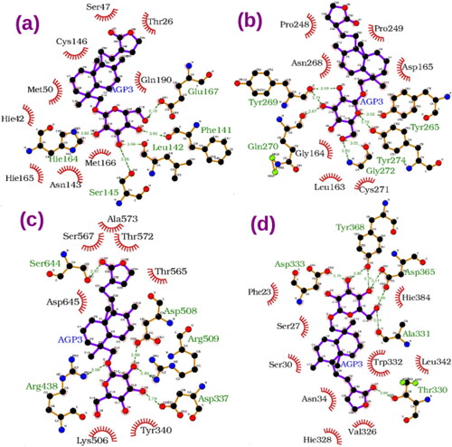 Figure 6. Protein-ligand interaction diagram for AGP3 with viral targets (a) 3CLpro, (b) PLpro, (c) RdRp and (d) with ACE2 of spike-ACE2 complex.