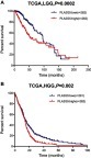 Figure 3 Kaplan-Meier survival analysis based on the median (low and high) PLA2G5 gene transcript expression in glioma. (A) High PLA2G5 gene expression indicated poor survival in LGGs (P=0.0002); (B) High PLA2G5 gene expression indicated poor survival in HGGs (P=0.002).Abbreviations: TCGA, the Cancer Genome Atlas; LGG, low-grade glioma; HGG, high-grade glioma.