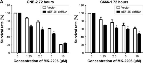 Figure 3 Suppression of autophagy increases the cytocidal activity of MK-2206 in NPC cell lines.