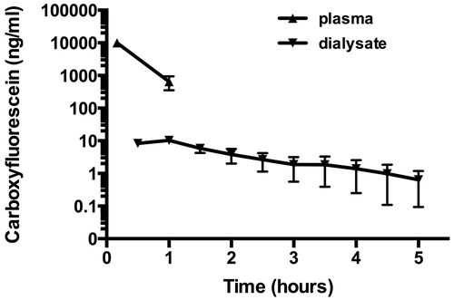 Figure 5. Plasma and brain microdialysate concentrations after IV administration of free CF (5 mg/kg). Two hours after injection of CF fluorescent signal was not detectable in plasma anymore. Fluorescent signal in brain microdialysates remained detectable for at least 4.5 h.