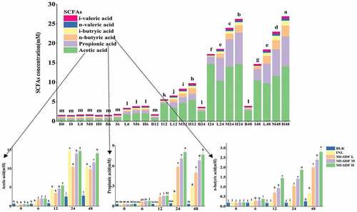 Figure 8. Concentration changes of total and individual SCFAs during in vitro fermentation in the BLK, INL, MI-SDF L, MI-SDF M and MI-SDF H groups at different time points. Data are expressed as the mean ± standard deviation (n = 3), and different lowercase letters indicated statistical significance (p < .05). The full names and abbreviations of nouns are shown in Figure 6.Figura 8. Cambios en la concentración de SCFA totales e individuales durante la fermentación in vitro en los grupos BLK, INL, MI-SDF L, MI-SDF M y MI-SDF H en diferentes momentos. Los datos se presentan como la media ± la desviación estándar (n = 3), y las distintas letras minúsculas indican una diferencia estadística significativa (p < .05). Los nombres completos y las abreviaturas de los sustantivos aparecen en la Figura 6.