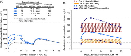 Figure 1. PK simulation of (A) median concentration vs day for the first two doses of AOM 400, stratified by dose initiation scheme and (B) steady-state median concentrations over time for AOM 400 and median oral aripiprazole 10 and 30 mg concentrations. AOM 400 = aripiprazole once-monthly 400 mg; PK = pharmacokinetic.
