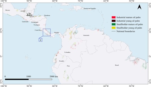 Figure 6. Spatial distribution map of oil palm subclasses in Americas.