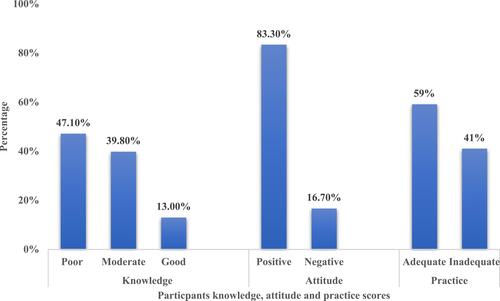 Figure 1 Study participants knowledge, attitudes, practices regarding DM.