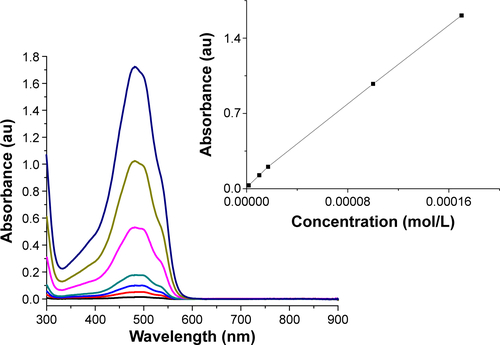Figure S10 UV–vis absorption spectra of DOX at increasing known concentrations.Note: A calibration curve was extrapolated from such measurements and the amount of DOX molecules grafted onto PEG-AuNPs surface was estimated based on this curve.Abbreviations: DOX, doxorubicin; PEG-AuNPs, polyethylene glycol-gold nanoparticles.