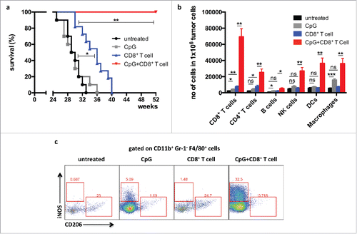 Figure 1. Combination of adoptive T-cell transfer and CpG-ODN increases T-cell infiltration and prolongs survival of RT5 mice and 24 week-old tumor-bearing Rip1-Tag5 (RT5) mice were injected with 25 μg of CpG-ODN 1668 i.v. on days 0, 6, and 10. Where indicated, the mice received adoptive transfers of activated TCR8 CD8+ T cells on day 1 and 11. Mice were sacrificed on day 13 and analyzed by flow cytometry. For survival experiments, mice were injected as described above. CpG-ODN injection and adoptive transfers were repeated every 10 d. (a) Kaplan−Meier survival curves of mice treated with CpG-ODN alone, adoptive transfer of TCR8 CD8+ T cells alone and combination of CpG-ODN with adoptive transfer of TCR8 CD8+ T cells. (b) Quantification by flow cytometry of infiltrating leukocyte subpopulations into RT5 tumors. (C) Representative flow cytometric analysis of iNOS (M1 marker) and CD206 (MRC1) (M2 marker) expression on CD11b+ Gr-1− F4/80+ tumor macrophages. Results are shown as mean ±SEM of 10 mice per group from two independent experiments. *p < 0 .05, **p < 0 .01, ***p < 0 .001, ns = not significant.