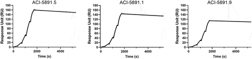 Figure 5. Binding kinetics of ACI-5891 variants determined by SPR. Affinity determination of ACI-5891 variants to TDP-43 by SPR in single cycle kinetics at concentration ranging from 1.2 nM to 100 nM. Analysis was performed using a 1:1 binding model. Gray line depicts the experimental data and black line depicts the data fit to the model.