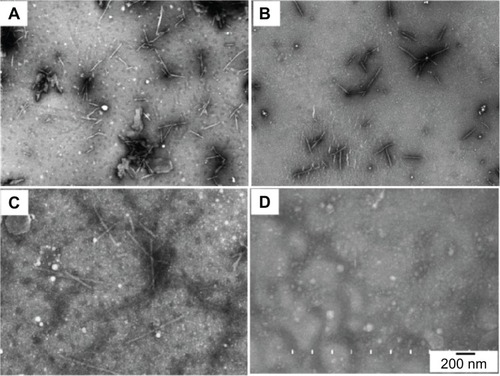 Figure 10 STEM images of plasma samples at (A) 5 min, (B) 1 h, (C) 6 h, and (D) 24 h after the injection of PEGylated DOTA-ONT.Abbreviations: DOTA, tetraazacyclododecane tetraacetic acid; h, hour; min, minutes; ONT, organic nanotube; PEG, polyethylene glycol; STEM, scanning transmission electron microscopy.