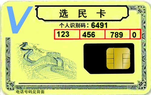 Figure 8. Voter card with PIN (designed by Tian Xu).