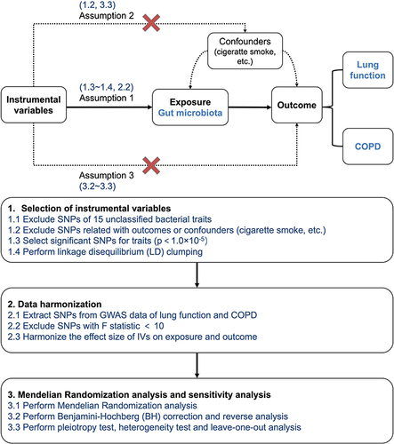 Figure 1 Overall MR framework and workflow of this study.