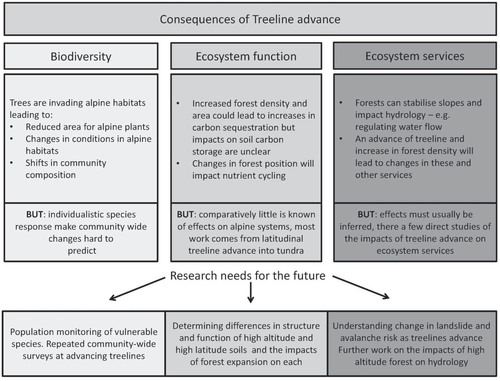FIGURE 1. Summary of key points and research needs.