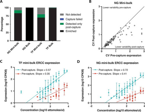 Figure 2. Improved gene detection and expression quantification with mini-bulk CaptureSeq. (A) Percentage of targeted genes enriched after capture. Black: genes detected pre-capture and enriched post-capture. Green: genes only detected post-capture and hence enriched above detection threshold by capture. Blue: genes detected pre-capture but not enriched by post-capture. Grey: gene not detected pre- or post-capture. TF mini-bulk capture is TF850. (B) Expression variability of targeted genes between replicate pre- and post-capture NG mini-bulk samples. CV, coefficient of variation. (C and D) Quantification of ERCCs targeted for capture in pre- and post-capture mini-bulk libraries. TF capture 850 (C), NG capture (D). Pre-capture quantification of ERCC shown in red, post-capture in teal. Compares known ERCC abundance (original concentration in attomoles/ul) to measured expression in CPKM. Mean and standard deviation plotted, n = 8 NG capture, n = 6 TF capture. Trend line, non-linear regression with a straight line fit