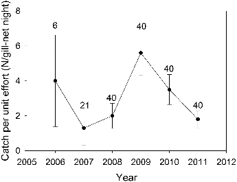 Figure 1. Mean (± SE) catch per unit effort (N/gill-net night) for palmetto bass in Long Branch Lake, 2006–2011. Numbers above error bars indicate the number of gill net sets.