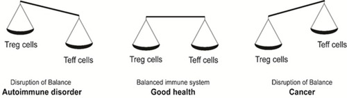 Figure 2 Imbalances in the immune system homeostasis results in a disease state. A balance in the levels of Treg and T effector cells maintains the homeostatic and disease-free state. A shift in the balance towards Tregs causes a decrease in anti-cancer immunity, resulting in cancer. Contrarily, a shift in the balance towards T effector cells causes a decrease in Treg levels and T effector cells hyperactivation leading to auto-immune disorders.