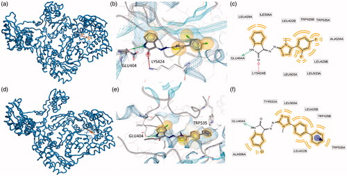 Figure 3. Putative binding modes of EMAC2045 and EMAC2056 and critical residues individuated for their binding in the pocket 2: (a, d) EMAC2045-HIV-1 RT complex and EMAC2056-HIV-1 RT complex; (b and e) close-up into the EMAC2045 and EMAC2056 binding site; (c and f) 2D depiction of EMAC2045 and its respective interactions with RT residues. pale yellow sphere indicates hydrophobic interactions with lipophilic residues. Red arrow indicates a hydrogen bond (HB) acceptor interaction, green HB donor, while the violet sphere represents the aromatic π − π stacking interaction.