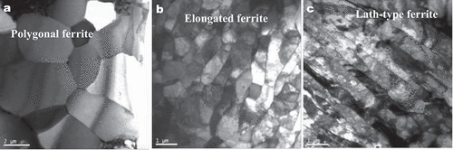 Figure 18. (a) Bright field TEM micrograph of Nb-microalloyed steels processed at (a) low (or normal) cooling rate showing polygonal ferrite structure, (b) intermediate cooling rate showing elongated ferrite structure and (c) high cooling rate showing bainitic/lath-type ferrite structure (adapted from reference [Citation37]).