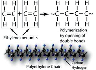 Figure 6.  PE polymer chain.