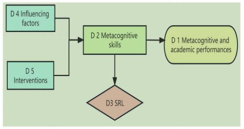 Figure 2 Hypothetical model of relationships among the descriptive themes.