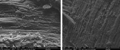 Figure 11 SEM images of the raw material before the hydrothermal explosion with a magnification of 400 ×  and 500 × .