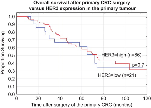 Figure 2. Overall survival in months from primary CRC surgery related to high or low HER3 expression.