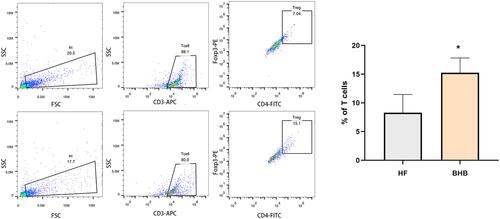 Figure 5 BHB increased the percentage of Treg cells within myocardium. Cardiac Treg cells (CD3+CD4+Foxp3+) were examined using flow cytometry. *p<0.05.