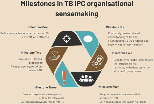 Figure 1. Key milestones in TB IPC organisational sensemaking.