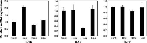 Figure 9 Anti-inflammatory effect of PHEA-C18-Dex-Arg8-GFP in HEI-OC1 cells.Notes: IL1b, IL12, and INFr expression, as an indication of inflammation, was investigated by RT-PCR in each treatment group (Cont: control group (in HEI-OC1 cells), −Dex: PCA-GFP, +Dex: PHEA-g-C18-Dex-Arg8-GFP, Lipo: Lipofectamine® 3000) 24 h after delivery into HEI-OC1 cells (n=3, mean ± SD).Abbreviations: Arg8, arginine 8; Dex, dexamethasone; GFP, green fluorescent protein; h, hours; PCA, PHEA-g-C18-Arg8; RT-PCR, real-time polymerase chain reaction; SD, standard deviation.
