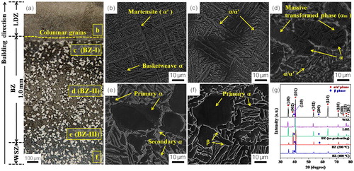 Figure 1. (a) Optical microscope images of microstructures in HMed Ti-6Al-4V; (b-f) Microstructure evolution from the LDZ to the WSZ; (g) X-ray diffraction patterns (XRD) profile.