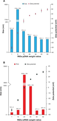 Figure 9 Size and zeta potential measurements using various weight ratios of (A) lysine-functionalized nanodiamonds and plasmid DNA (fNDs:pDNA) and (B) fNDs and small interfering RNA (fNDs:siRNA).Notes: Each value represents mean plus or minus standard deviation of four measurements (n ≥ 10).