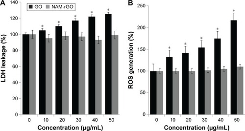 Figure 3 Cytotoxicity effects of GO and NAM-rGO on MEFs.Notes: (A) MEFs were treated with different concentrations of GO and NAM-rGO (10–50 μg/mL) for 24 hours and then LDH and (B) ROS were measured. The results are expressed as the mean ± standard deviation of three independent experiments. There was a significant difference in the LDH activity and ROS generation of GO-treated cells compared to that of the untreated cells as assessed using Student’s t-test (*P<0.05). There was no significant difference between control and NAM-rGO-treated cells.Abbreviations: GO, graphene oxide; NAM-rGO, nicotinamide-reduced graphene oxide; ROS, reactive oxygen species; MEF, mouse embryonic fibroblast cells; LDH, lactate dehydrogenase.