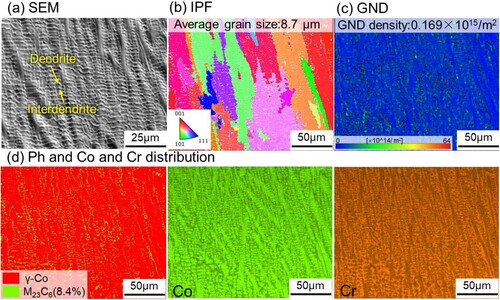 Figure 4. Microstructural characteristics of the Stellite 6 deposit: (a) SEM picture, (b) IPF colour map with GB (≥10°), (c) GND map, (d) Phase distribution picture and the element distribution of Co and Cr.