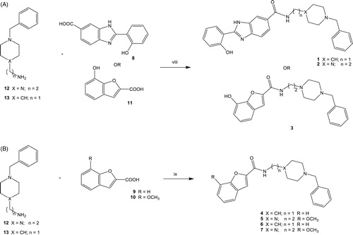 Scheme 3. Reagents and conditions: (a) (viii) DCC, N-hydroxysuccinimide, dry DMF, RT, 40 h. (b) (ix) T3P, NMM, dry CH2Cl2, RT, overnight.
