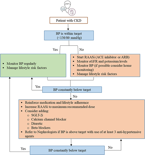 Figure 4 Algorithm for management of CKD in patients with hypertension.