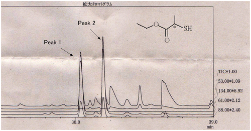 Fig. 1. Chromatographic peaks of ET2MP enantiomers from a heat-treated soy sauce in SIM mode produced by overlapping selected ions (m/z 61, 88, and 134).