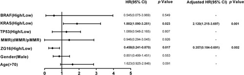 Figure 9 The Forest plot based on univariate and multivariate Cox regression analysis of 203 stage II–III CRC patients who received chemotherapy from GSE40967.