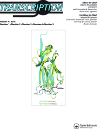 Cover image for Transcription, Volume 7, Issue 5, 2016