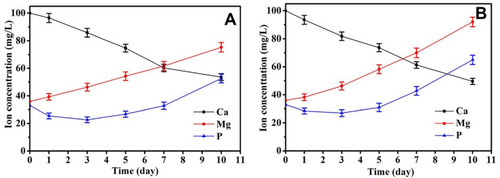 Figure 4 Changes of ion concentrations in solution after PMC (A) and PMWC (B) immersed into SBF for different time.Abbreviations: PMC, polybutylene succinate-magnesium phosphate composite scaffolds; PMWC, polybutylene succinate-magnesium phosphate-wheat protein composite scaffolds; SBF, simulated body fluid.