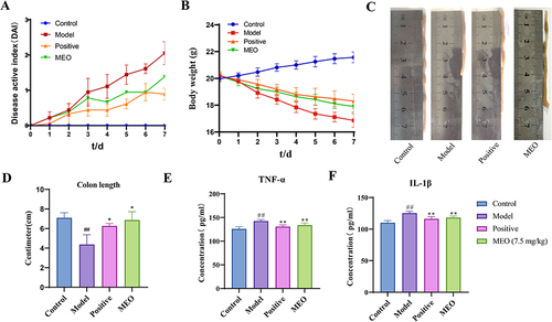 Figure 3 The DAI, colon morphology and serum levels of TNF-α and IL-1β in colitis mice. (A) DAI scores. (B) Changes in the body weight in each group. (C) Morphological analysis of the colon in each group. (D) Differences in colon length in each mice group. (E) The levels of TNF-α in colon tissues of colitis mice. (F) The levels of IL-1β in colon tissues of colitis mice.