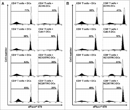 Figure 5. RCC cells impair slanDC-induced proliferation of CD4+ and CD8+ T cells. (A, B) slanDCs were maintained in the presence of ACHN, Caki-1, MZ1257RC or MZ2877RC cells. After 6 h, slanDCs were separated from adherent tumor cells and co-cultured with allogeneic eFluor® 670-labeled CD4+ T cells (A) or CD8+ T cells (B). After 8 d, T cells were harvested, stained with FITC-conjugated anti-CD4+ antibodies or FITC-conjugated anti-CD8+ antibodies, and analyzed by flow cytometry. The results of one representative donor out of four performed with similar results are depicted. Values represent the percentage of proliferating cells stained with eFluor® 670 (filled) compared to unstimulated T cells (empty).