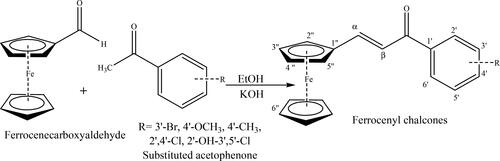 Scheme 2. General method for the synthesis of ferrocenyl chalcone.