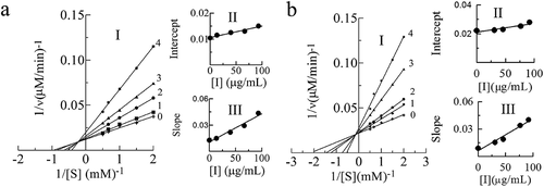 Figure 3. Determination of the inhibitory type and constants of proanthocyanidins (PAs) extracted from leaves (a) and branches (b) of Cinnamomum camphora. In leaves, lines 0–4 represent the reaction curve of the system when the concentration of proanthocyanidins (PAs) was 0, 13.33, 40, 66.67, 93.33 μg/mL with L-DOPA as substrate. In branches, lines 0–4 represent the reaction curve of the system when the concentration of proanthocyanidins (PAs) was 0, 30.67, 46, 76.67, 92 μg/mL. The plot of intercept versus proanthocyanidins (PAs) concentration for determining the inhibition constants KIS. The plot of slope versus PAs concentration for determining the inhibition constants KI.