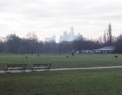 Figure 10. Victoria Park, London, winter 2023.