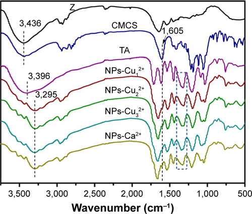 Figure S1 Fourier transform infrared spectroscopy (FTIR) spectra of different samples.Notes: NPs-Cu12+, NPs-Cu22+, NPs-Cu32+, NPs-Ca2+: metal–TA-coated zein/CMCS nanoparticles prepared at a zein:CMCS ratio of 1:1 w/w with the final metal ion concentration of 0.24 mM (Cu12+ or Ca2+), 0.48 mM (Cu22+) and 0.72 mM (Cu32+).Abbreviations: CMCS, carboxymethyl chitosan; NPs, nanoparticles; TA, tannic acid.