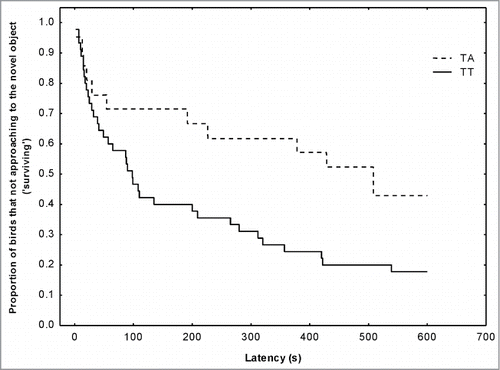 Figure 4. Survivorship plot function for latency to approach a novel object (a penlight battery on the feeder) by wild great tits according to SERT SNP234 genotypes. Black line represents TT birds and dash line represents TA birds. The figure shows the proportion of great tits that do not approach the object (‘surviving’) up to the respective time interval.