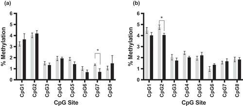 Figure 5. Bisulphite pyrosequencing for rat Dlgap2 in offspring hippocampus and nucleus accumbens. Hippocampal (a) and nucleus accumbens (b) Dlgap2 bisulphite pyrosequencing data for rats born to control (gray) or THC exposed (black) fathers. Shown is the mean +/- SEM for each group. * = p < 0.05.