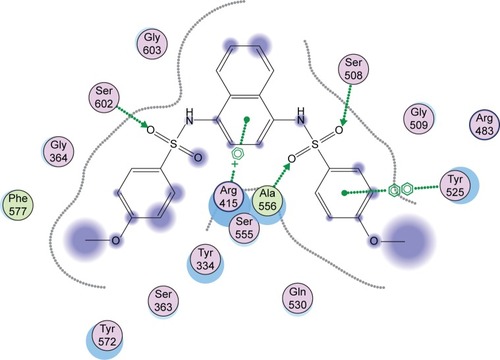 Figure 4 Interactions of the native ligand with the Kelch domain of Keap1 (PDB ID: 41QK).