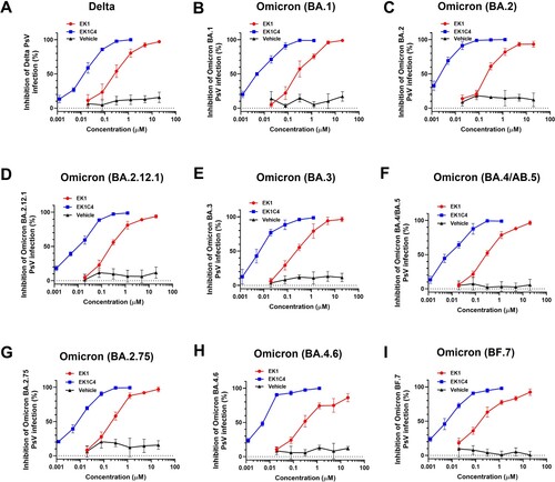 Figure 3. Efficacy of EK1 and EK1C4 against infection of pseudotyped SARS-CoV-2 and its variants. (a-k), Efficacy of EK1 and EK1C4 against Delta (a), BA.1 (b), BA.2 (c), BA.2.12.1 (d), BA.3 (e), BA.4/BA.5 (f), BA.2.75 (g), BA.4.6 (h) and BF.7 (i) PsV infection. Samples were tested in triplicate, and the experiment was repeated once. Data from a representative experiment are presented in mean ± SD.