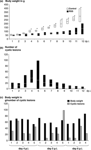 Figure 1.  Weight gain and presence of cystic lesions in RSS-afffected chickens. Commercial broiler chickens were exposed either to RSS-contaminated litter (RSS) or to fresh wood shavings (control). 1a: Five chickens at day 1 through day 11 and 30 chickens at day 12 after infection (day p.i.) were euthanized and the body weights were determined. The average body weights for each day is shown as a white line in the RSS-related box, and a black line in the white box representing the control chickens. In addition, the recorded minimum and maximum weights within the group were shown. *Statistically significant different values between control birds and RSS-exposed birds. 1b: The cross-section of each duodenal loop was assessed for the presence of cystic lesions for each chicken as described under (1a). The average value for the number of cystic lesions is shown for each day in the box as a white line. The minimum and maximum observed numbers of lesions were indicated. 1c: The body weight and number of cystic lesions in the duodenal loop for each chicken at days 4, 5, and 6 after exposure to the RSS-contaminated litter was shown. Body weight and cystic lesions are both plotted on the y axis.